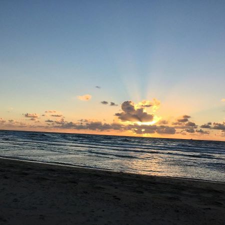 Julianadorp Zuhause am Meer für 6 Personen mit 4 Schlafzimmern Exterior foto